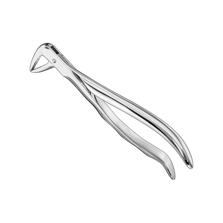 Extracting forceps, anat.